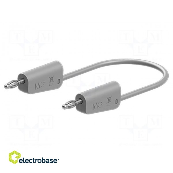 Test lead | 60VDC | 30VAC | 19A | banana plug 4mm,both sides | grey