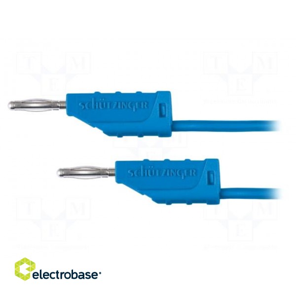 Test lead | 70VDC | 33VAC | 10A | banana plug 2mm,both sides | blue
