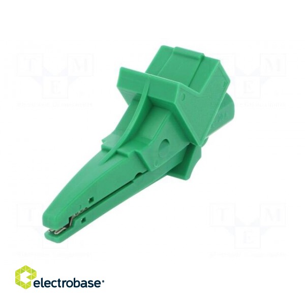 Crocodile clip | 12A | 600VDC | green | Grip capac: max.20mm image 2
