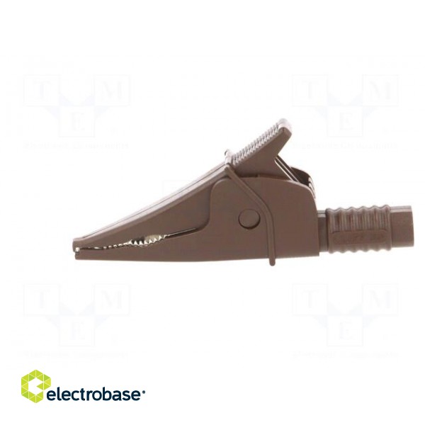 Crocodile clip | 20A | brown | max.39mm | 1kV | Connection: 4mm socket image 3