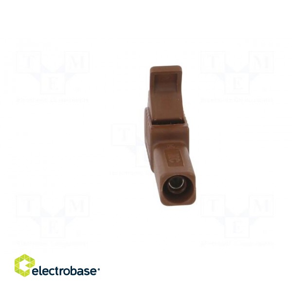 Crocodile clip | 32A | 1kVDC | brown | Grip capac: max.20mm фото 5