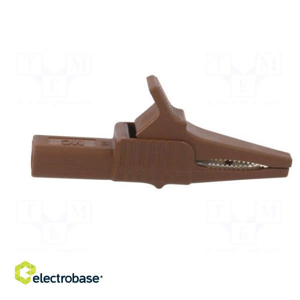 Crocodile clip | 32A | 1kVDC | brown | Grip capac: max.20mm image 7