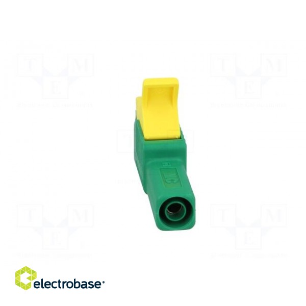 Crocodile clip | 32A | 1kVDC | yellow-green | Grip capac: max.20mm image 5
