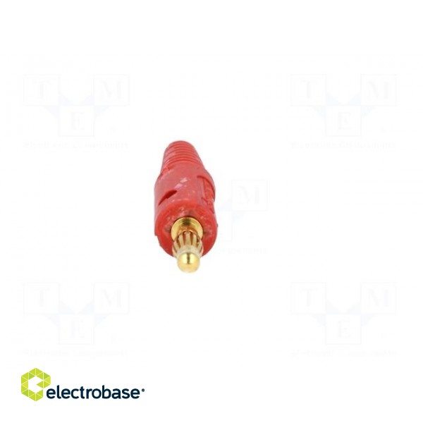 Plug | 4mm banana | 10A | 33VAC | 70VDC | red | Max.wire diam: 2mm | 0.5mm2 image 9
