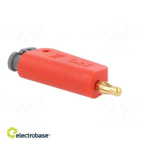Plug | 4mm banana | 19A | 30VAC | 60VDC | red | gold-plated | 1mm2 paveikslėlis 8