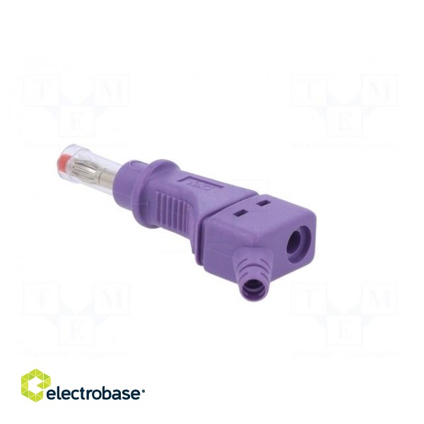 Plug | 4mm banana | 32A | 600V | violet | 2.5mm2 | on cable image 4