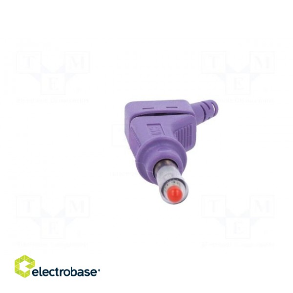 Plug | 4mm banana | 32A | 600V | violet | 2.5mm2 | on cable image 9