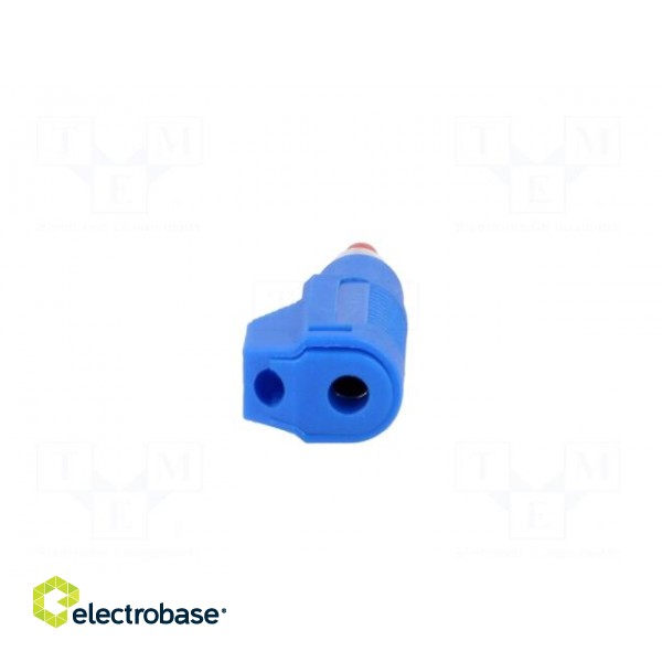 Plug | 4mm banana | 32A | blue | insulated,with 4mm axial socket image 5