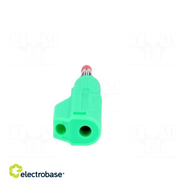 Plug | 4mm banana | 32A | green | insulated,with 4mm axial socket paveikslėlis 5