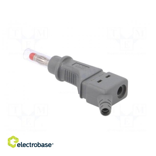 Plug | 4mm banana | 32A | 600V | grey | 2.5mm2 | on cable image 4
