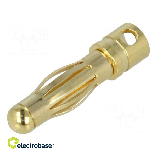 Plug | 4mm banana | 32A | non-insulated | Contacts: brass gold plated