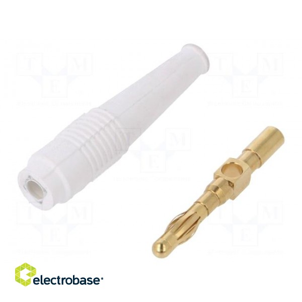 Plug | 4mm banana | 32A | white | 2.5mm2 | Plating: gold-plated | 69mm image 1