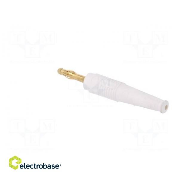 Plug | 4mm banana | 32A | white | 2.5mm2 | Plating: gold-plated | 69mm image 4