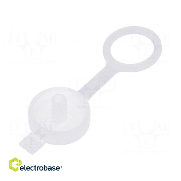 Accessories: socket cover | transparent | IP65 image 1