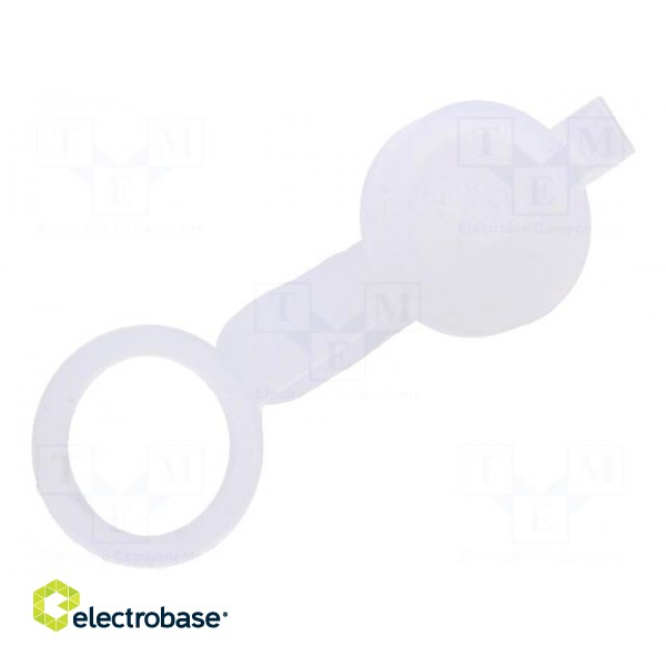 Transparent | Accessories: socket cover | IP65 фото 2