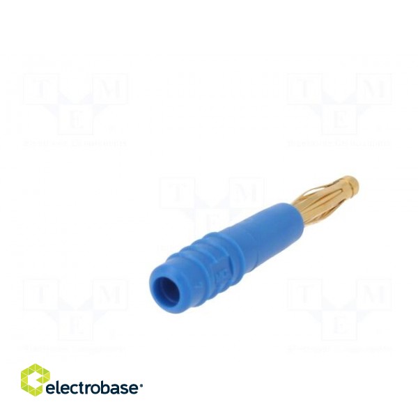 Plug | 2mm banana | 10A | 30VAC | 60VDC | blue | gold-plated | 0.5mm2 image 6