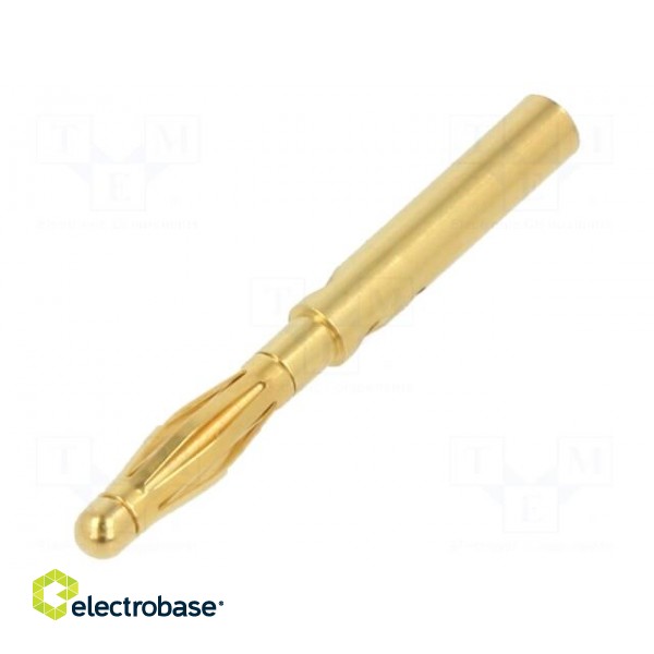 Plug | 2mm banana | 10A | 30VAC | 60VDC | gold-plated