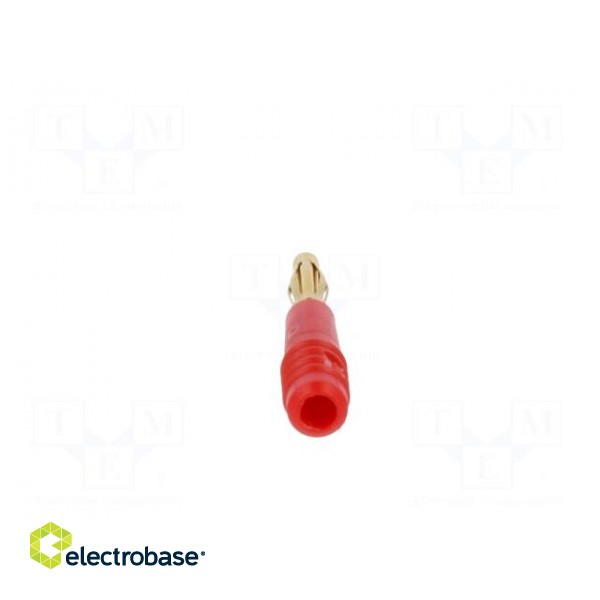 Plug | 2mm banana | 10A | 60V | red | Plating: gold-plated | 0.5mm2 paveikslėlis 5