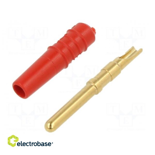 Plug | 2mm banana | 10A | 30VAC | 60VDC | red | gold-plated | Ø: 0.5mm
