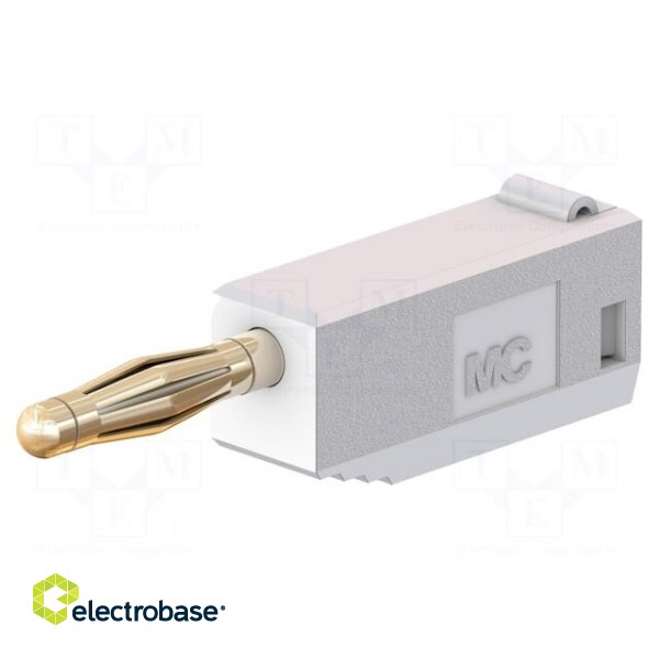 Plug | 2mm banana | 10A | 30VAC | 60VDC | white | gold-plated | 0.5mm2