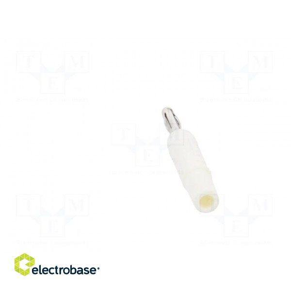 Plug | 2mm banana | 10A | 33VAC | 70VDC | white | nickel plated | -25÷90°C image 5