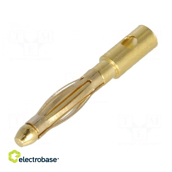 Plug | 2mm banana | 15A | Contacts: brass gold plated | 18AWG | 1.5mΩ
