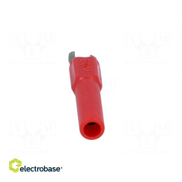 Adapter | banana 4mm socket,fork terminal | 60VDC | 36A | red | 43mm image 5