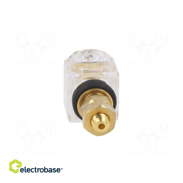 Socket | 3mm banana | 60A | 54.5mm | black,transparent | gold-plated image 5