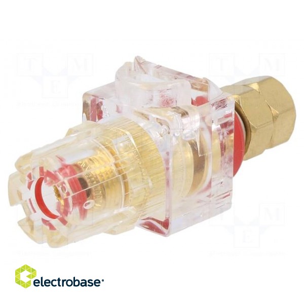 Socket | 3mm banana | 60A | 54.5mm | red,transparent | gold-plated фото 1