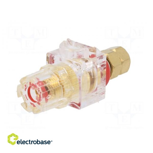 Socket | 3mm banana | 60A | 54.5mm | red,transparent | gold-plated image 2