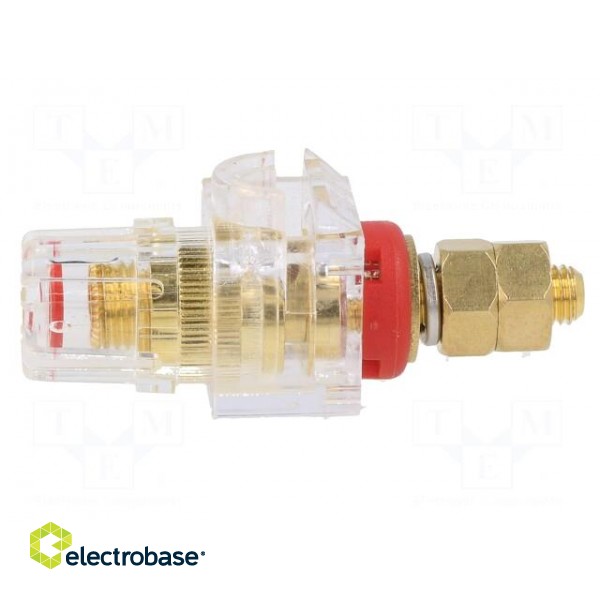 Socket | 3mm banana | 60A | 54.5mm | red,transparent | gold-plated image 3