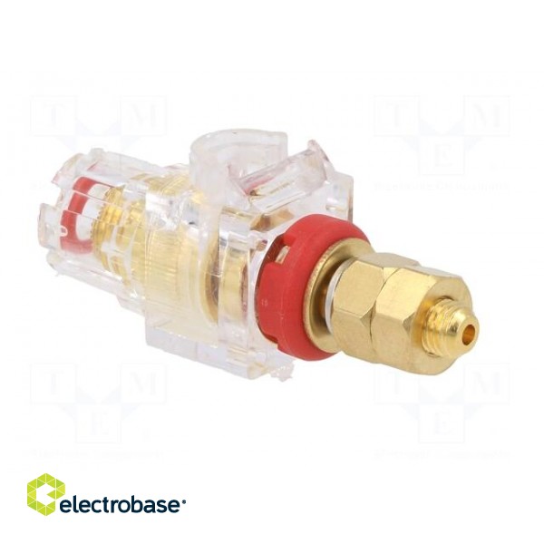 Socket | 3mm banana | 60A | 54.5mm | red,transparent | gold-plated фото 4