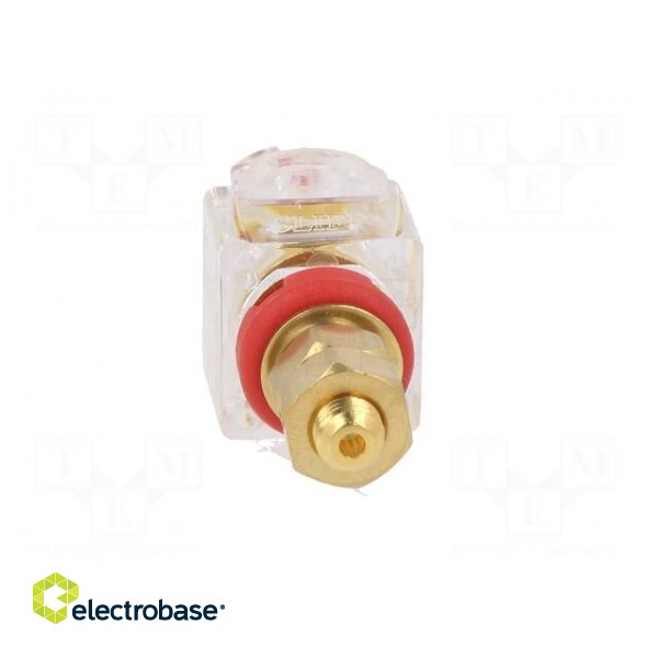 Socket | 3mm banana | 60A | 54.5mm | red,transparent | gold-plated фото 5