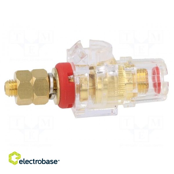 Socket | 3mm banana | 60A | 54.5mm | red,transparent | gold-plated фото 7