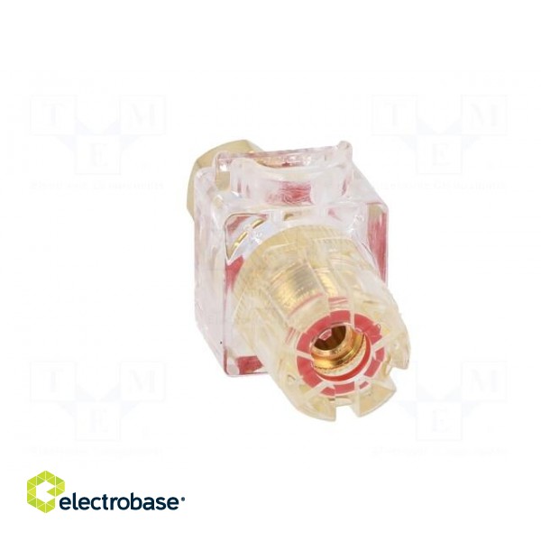 Socket | 3mm banana | 60A | 54.5mm | red,transparent | gold-plated image 9
