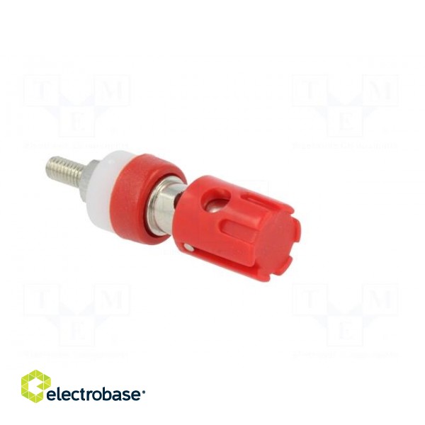 Socket | 4mm banana | 15A | 48VDC | red | nickel plated | on panel image 8