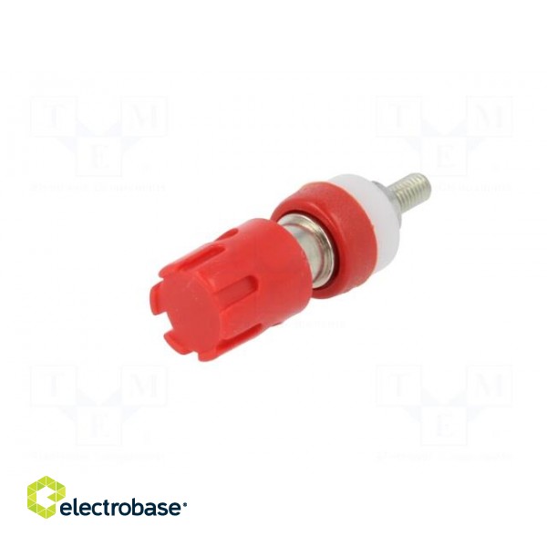 Socket | 4mm banana | 15A | 48VDC | red | nickel plated | on panel image 2