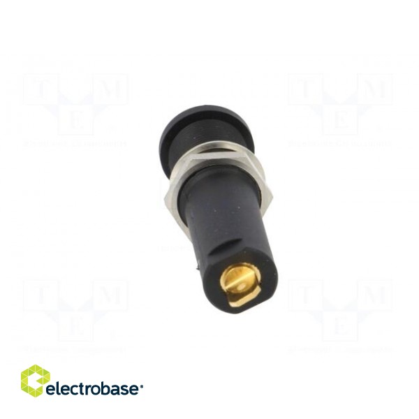 Socket | 4mm banana | 16A | 6000V | black | gold-plated | on panel image 5