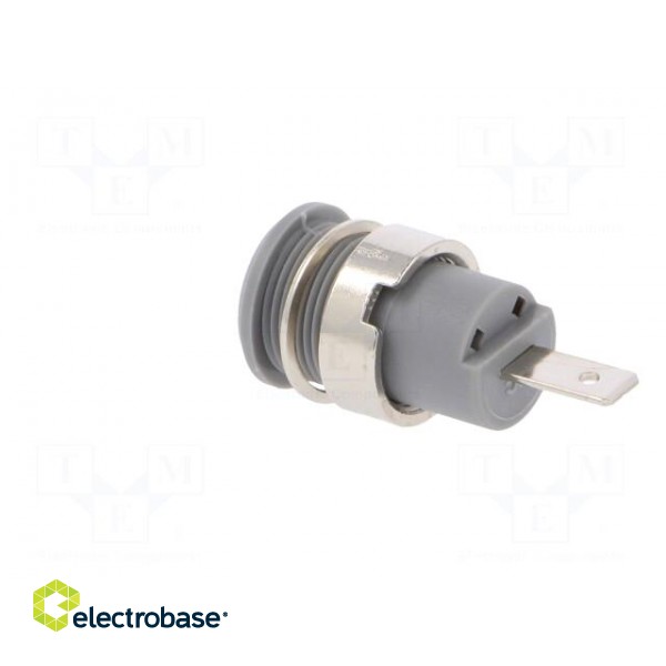 Socket | 4mm banana | 24A | 1kV | Cutout: Ø12.2mm | grey | nickel plated image 4