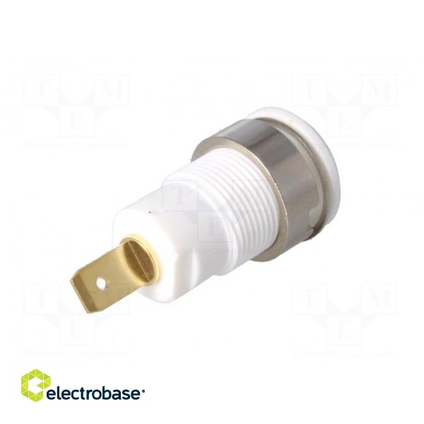 Socket | 4mm banana | 24A | 1kV | Cutout: Ø12.2mm | white | gold-plated image 6