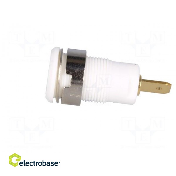 Socket | 4mm banana | 24A | 1kV | Cutout: Ø12.2mm | white | gold-plated image 3