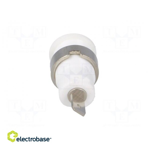 Socket | 4mm banana | 24A | 1kV | Cutout: Ø12.2mm | white | nickel plated image 5