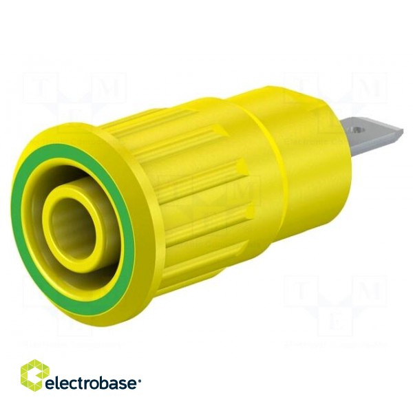 Socket | 4mm banana | 24A | 1kV | Cutout: Ø12.2mm | yellow-green | brass