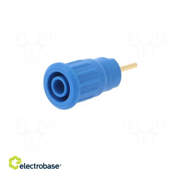 Socket | 4mm banana | 24A | 1kV | blue | gold-plated | on panel | 12.2mm paveikslėlis 2