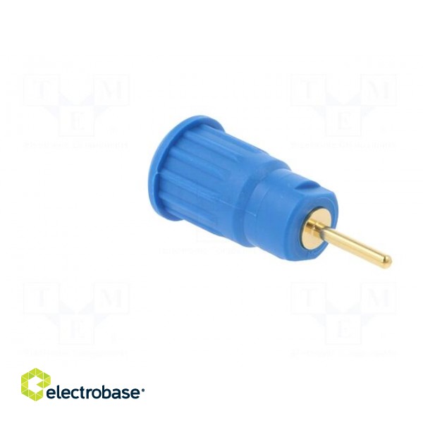 Socket | 4mm banana | 24A | 1kV | blue | gold-plated | on panel | 12.2mm фото 4