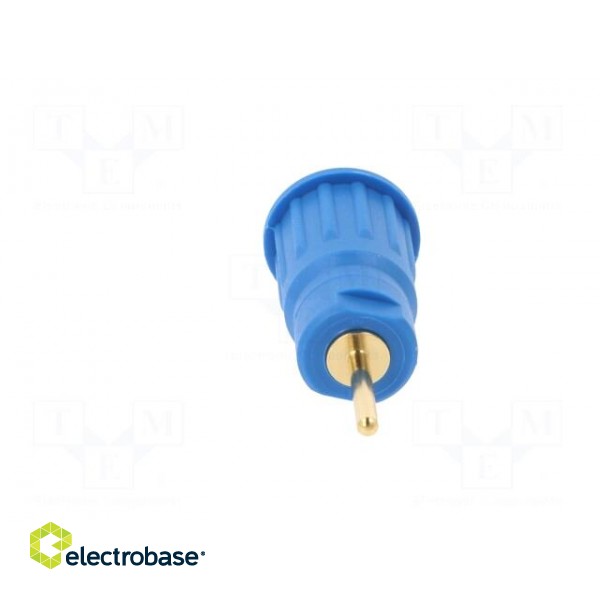 Socket | 4mm banana | 24A | 1kV | blue | gold-plated | on panel | 12.2mm фото 5