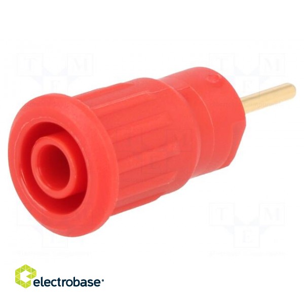 Socket | 4mm banana | 24A | 1kV | red | gold-plated | on panel | insulated image 1
