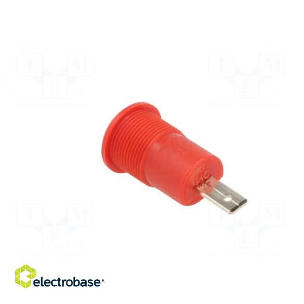 Socket | 4mm banana | 24A | 1kV | red | nickel plated | on panel,screw фото 4