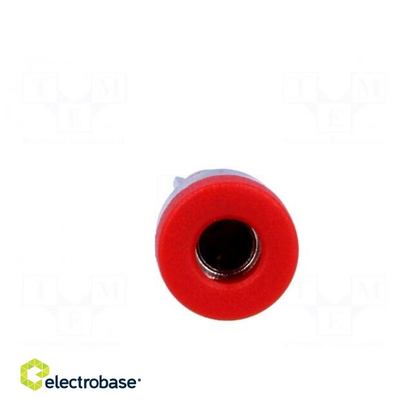 Socket | 4mm banana | 24A | 60VDC | red | nickel plated | on panel | 28mm image 9
