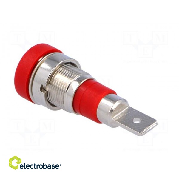Socket | 4mm banana | 24A | 60VDC | red | nickel plated | on panel | 28mm фото 4